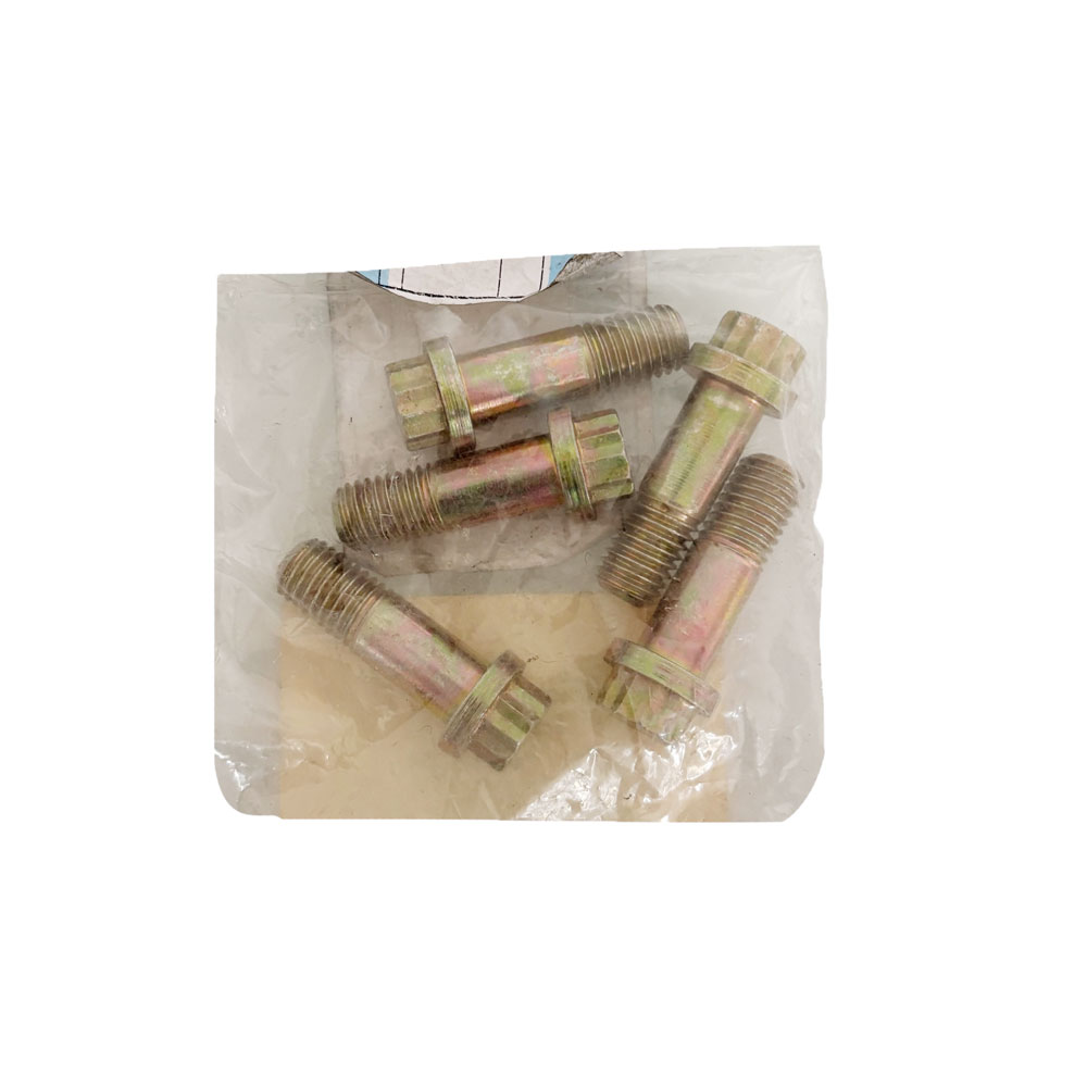 Bolt for Front Brake Caliper AFU1031